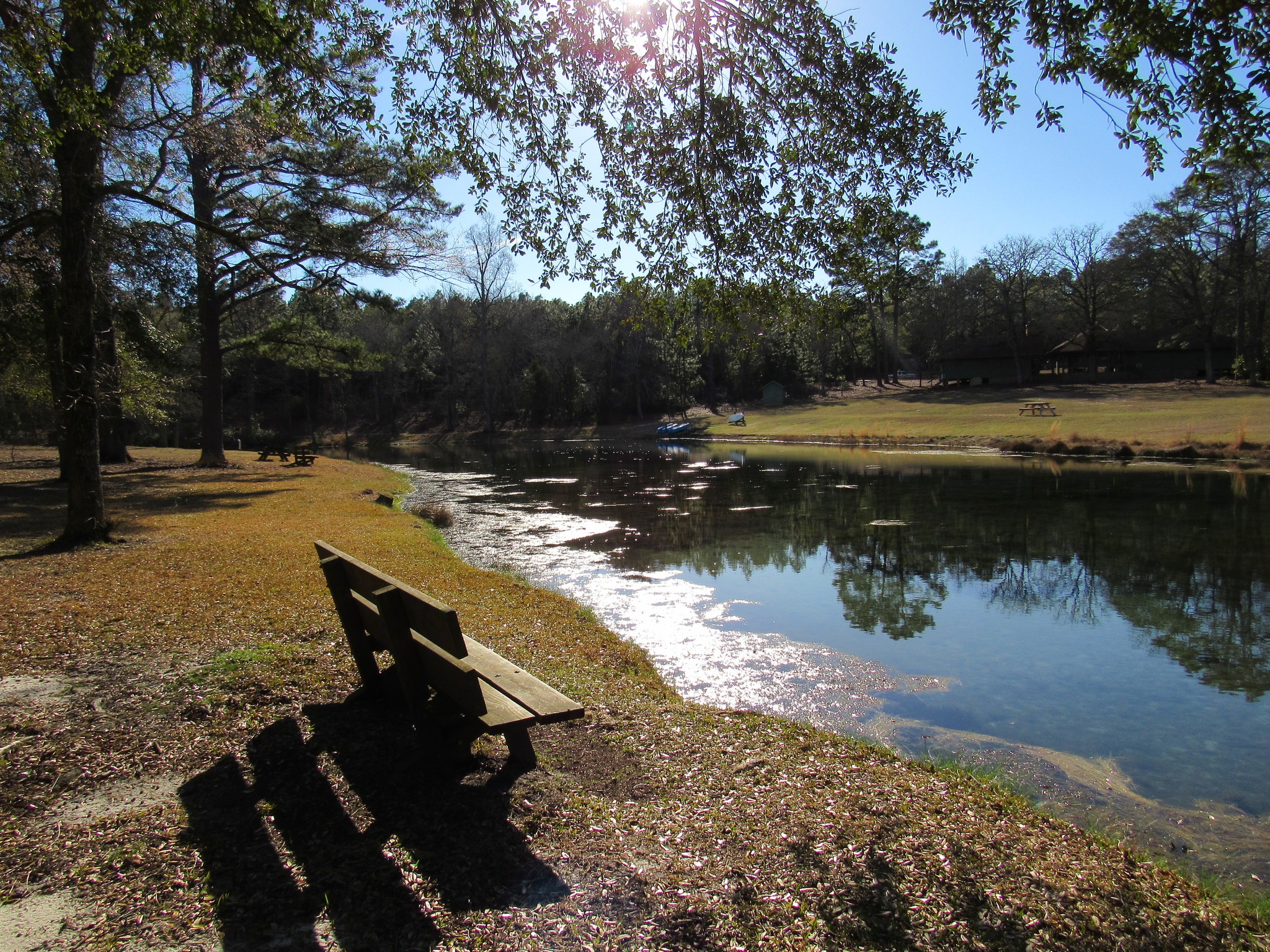 Bench beside the reflective water at Aiken State Park