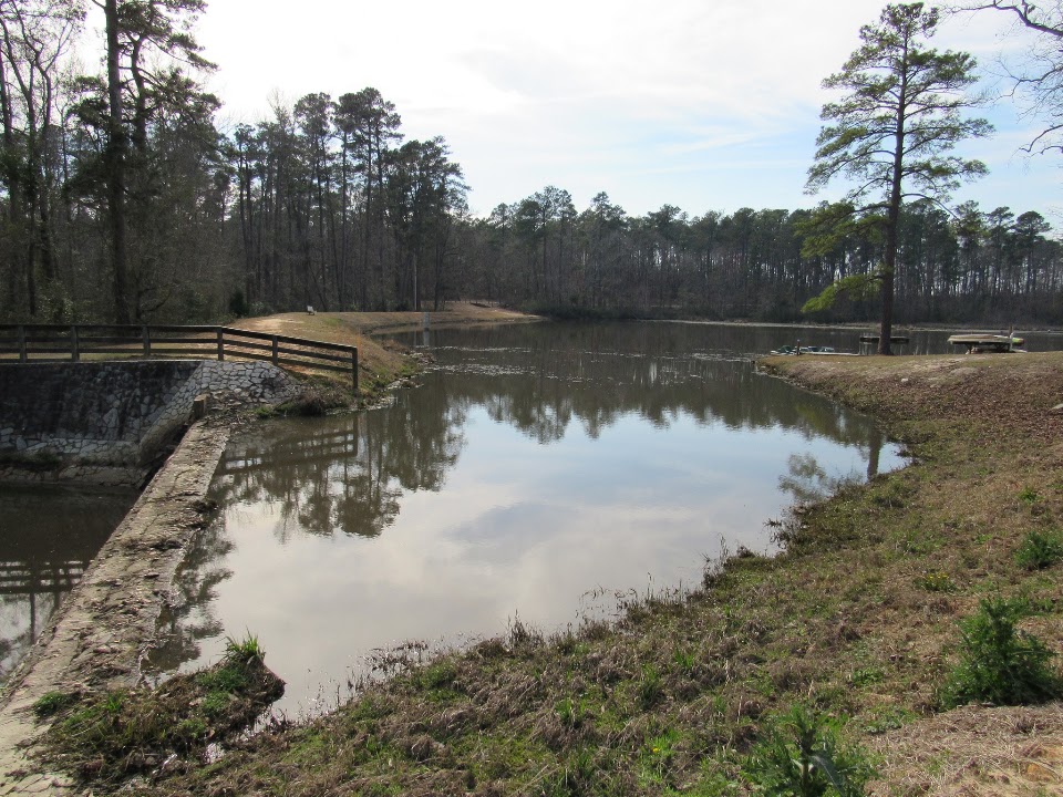 Original R&M photograph from the Barnwell State Park album