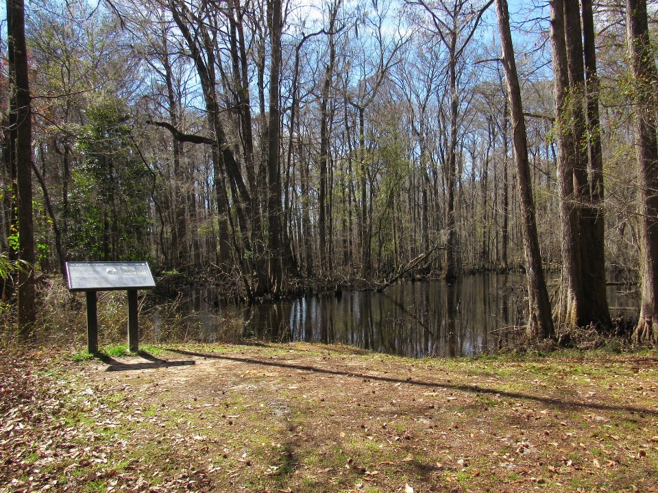 Original R&M photograph from the Rivers Bridge battlefield album