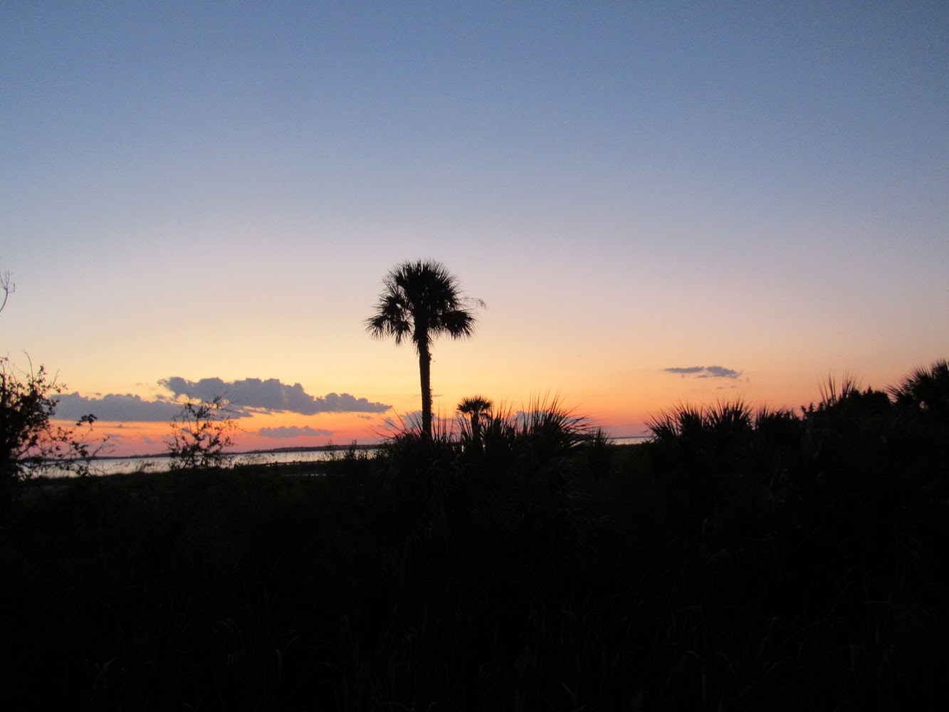 Lead image from the original R&M Edisto Beach State Park Edisto Island, South Carolina album