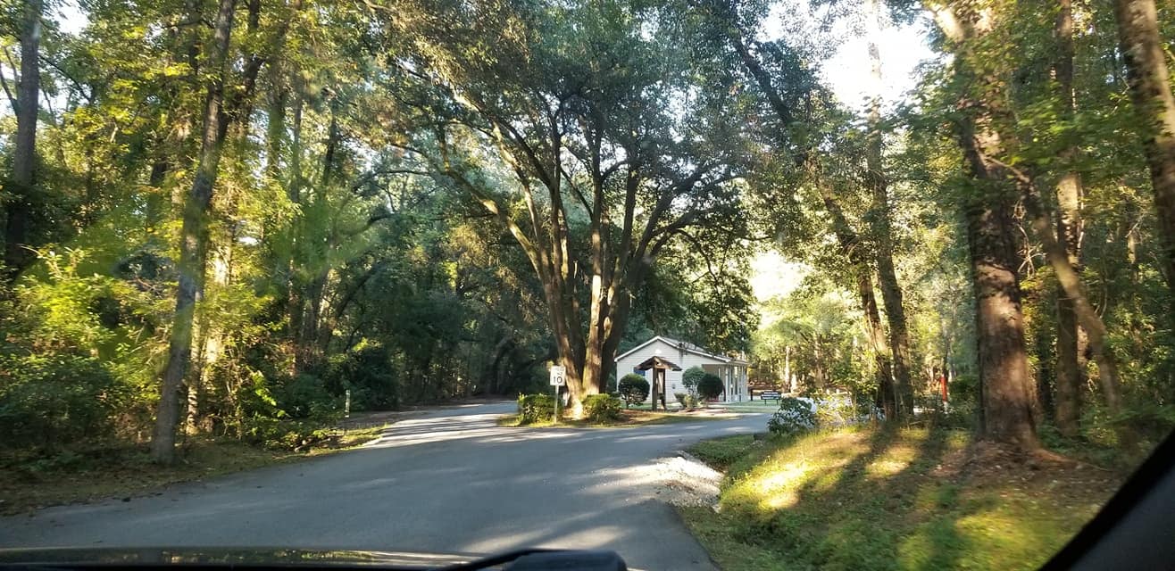 Lead image from the original R&M Givhans Ferry State Park Ridgeville, South Carolina album