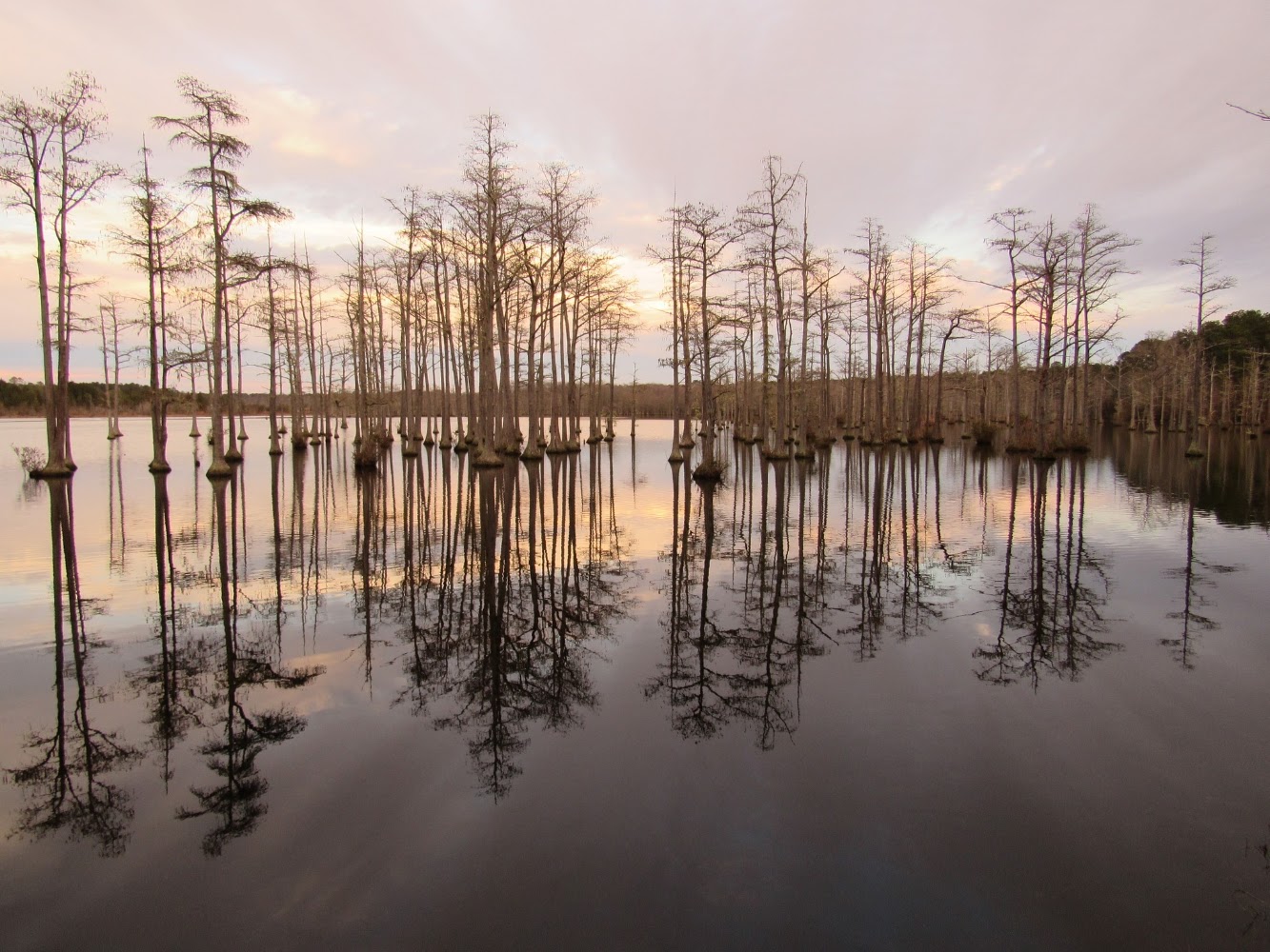 Lead image from the original R&M Goodale State Park Camden, South Carolina album