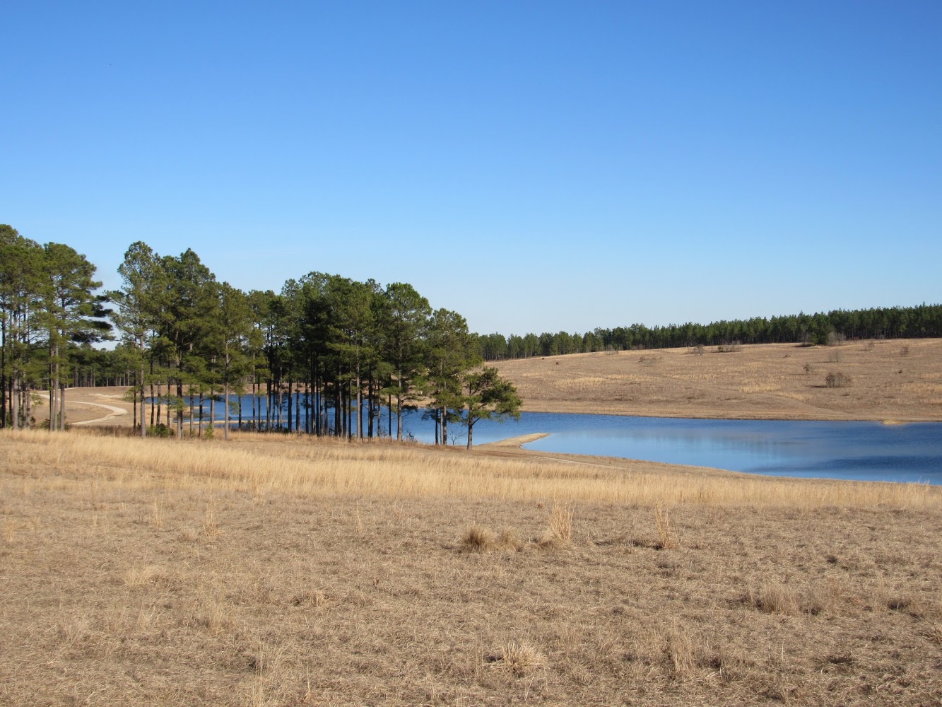 Lead image from the original R&M H. Cooper Black Jr. Memorial Field Trial and Recreation Area album