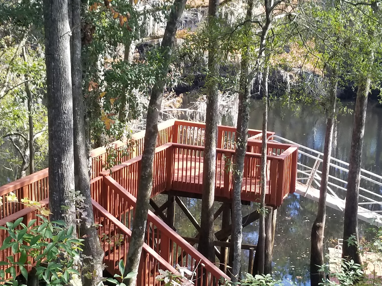Original Handy Ron photograph of a raised wooden walkway and rail project
