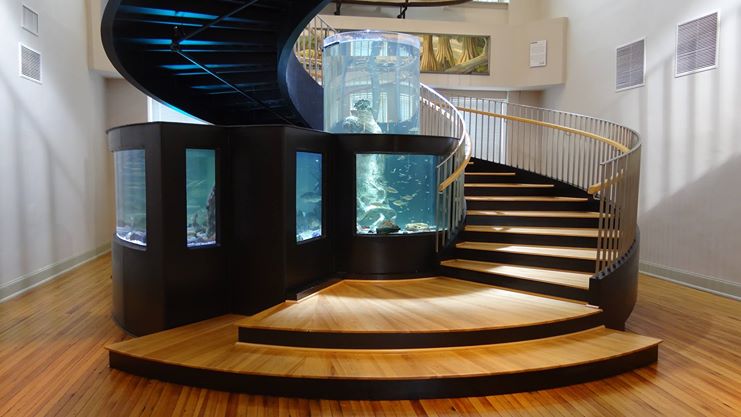 Lead image from the original R&M Horry County Museum Conway, South Carolina album
