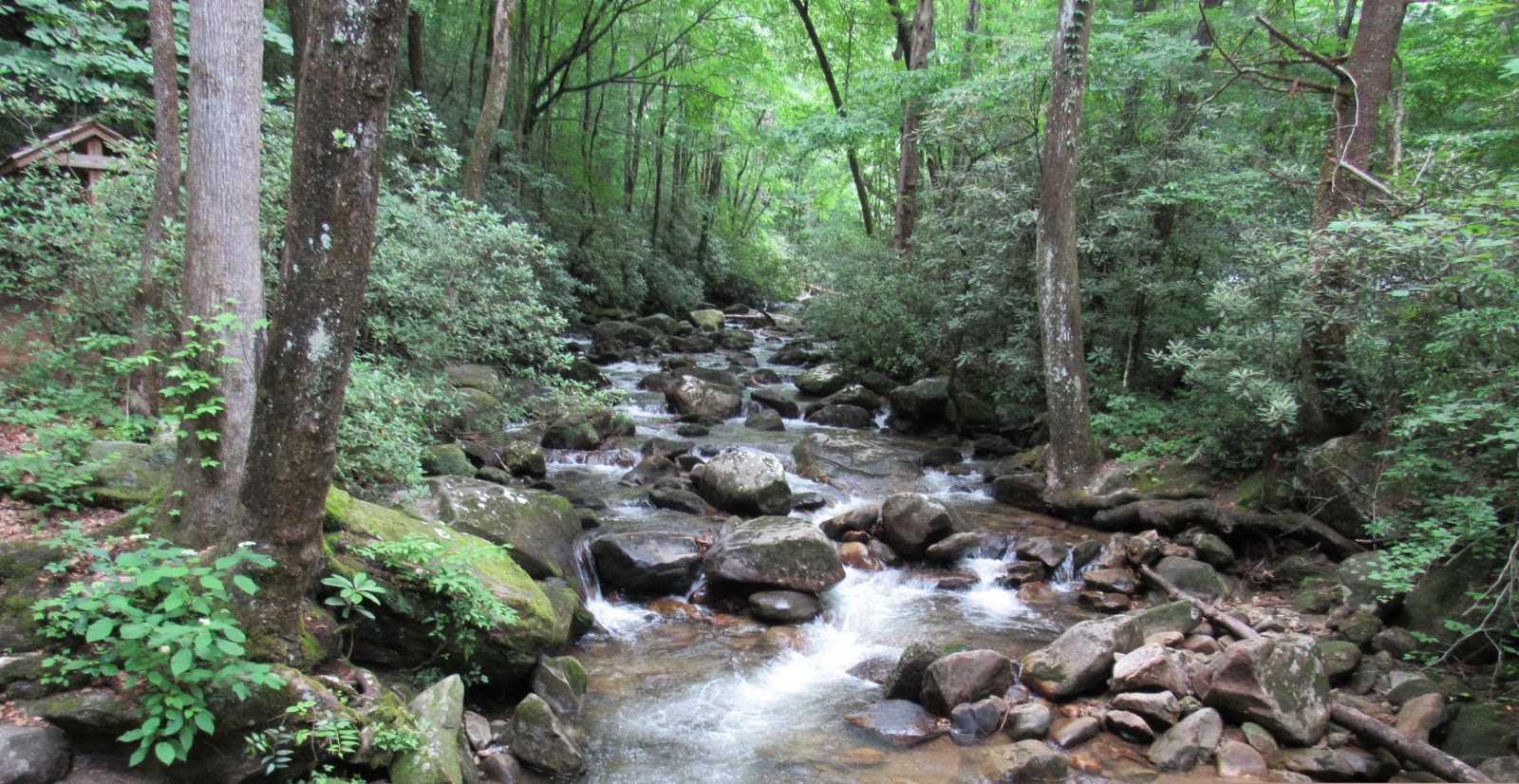 Lead image from the original R&M Jones Gap State Park Marietta, South Carolina album