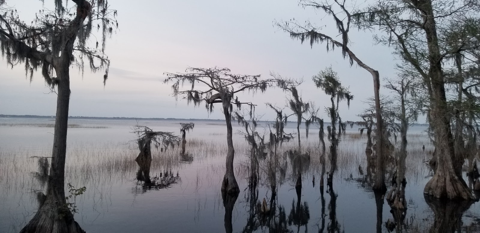 Lead image from the original R&M Lake Waccamaw State Park Lake Waccamaw, North Carolina album