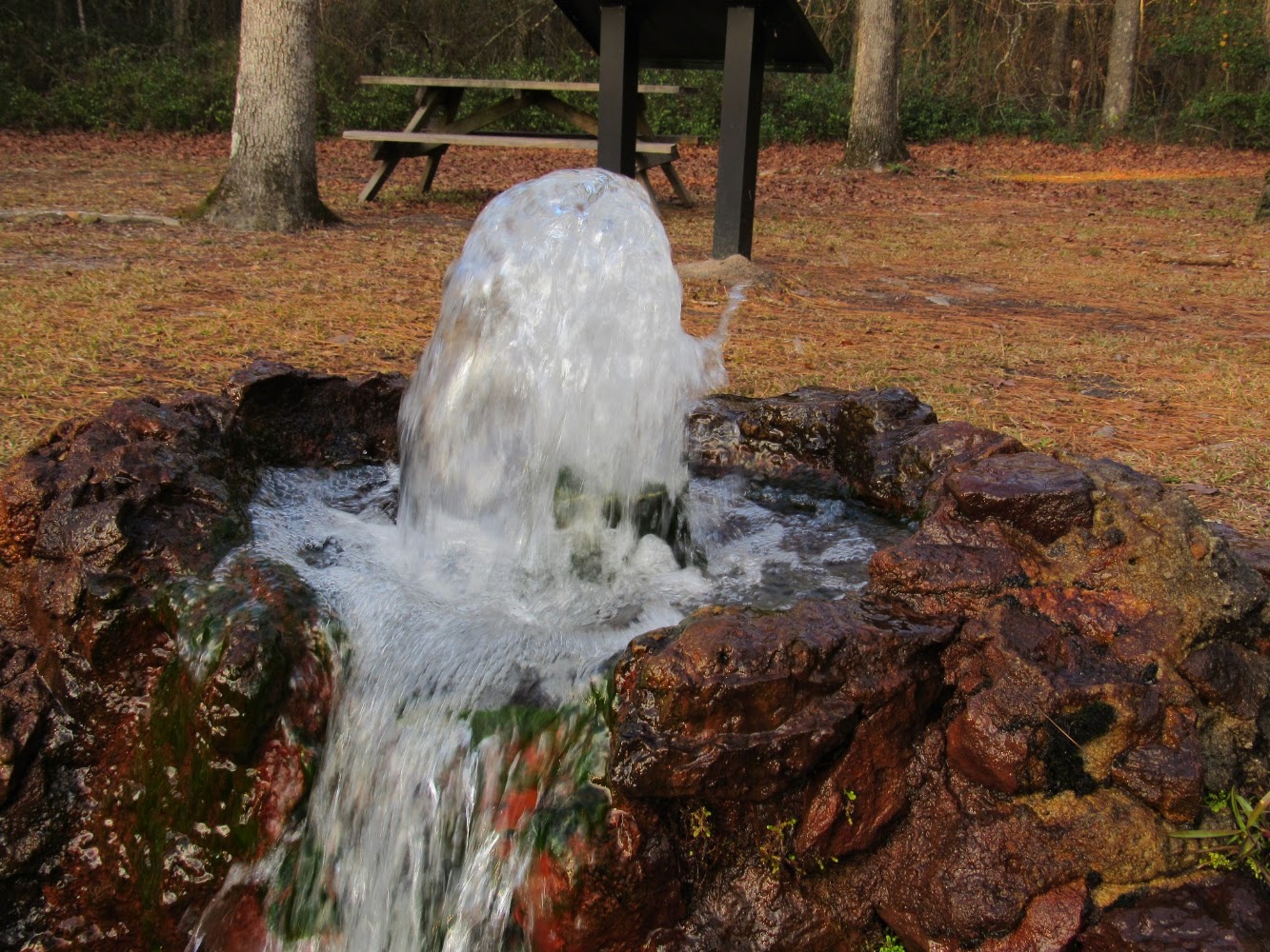 Lead image from the original R&M Lee State Park Bishopville, South Carolina album