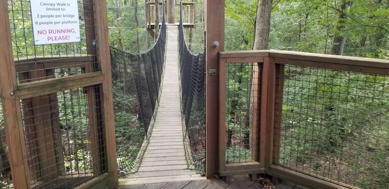 Lead image from the original R&M Lynches River County Park album