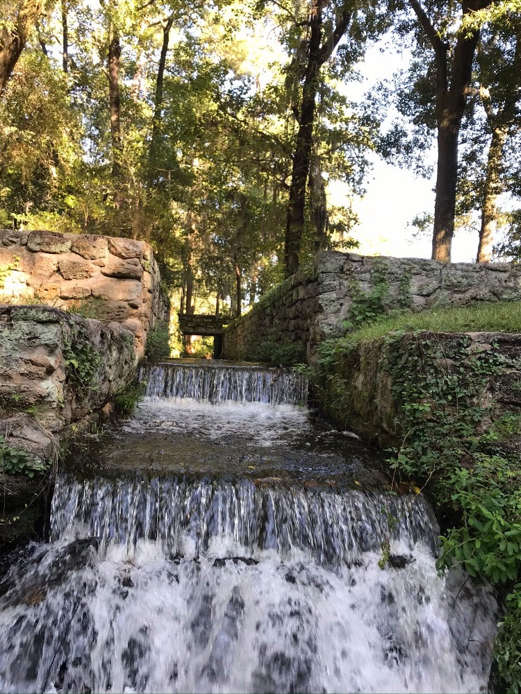 Lead image from the original R&M Poinsett State Park Wedgefield, South Carolina album