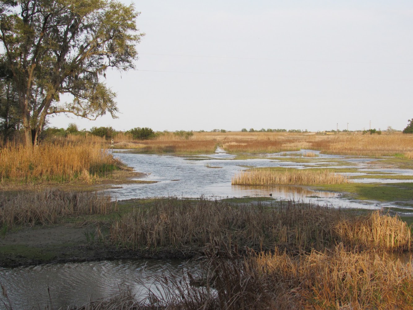 Lead image from the original R&M Santee Coastal Reserve McClellanville, South Carolina album