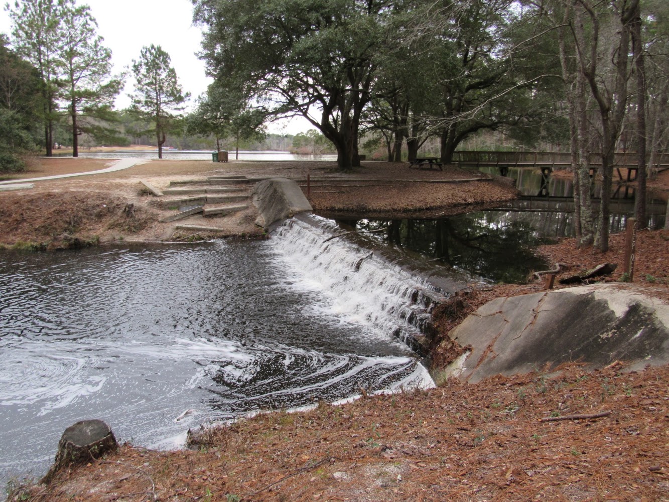 Lead image from the original R&M Sesquicentennial State Park Columbia, South Carolina album