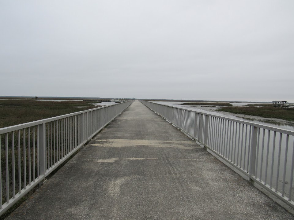 Original R&M photograph from the Cape Romain refuge album