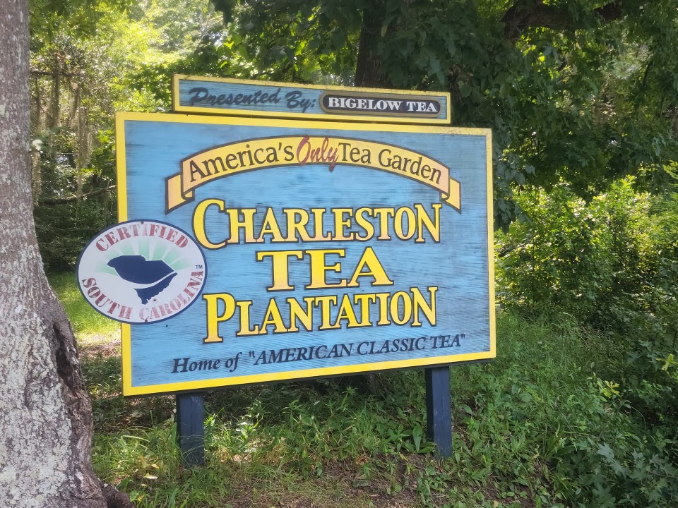 Original R&M photograph from the Charleston Tea Plantation album