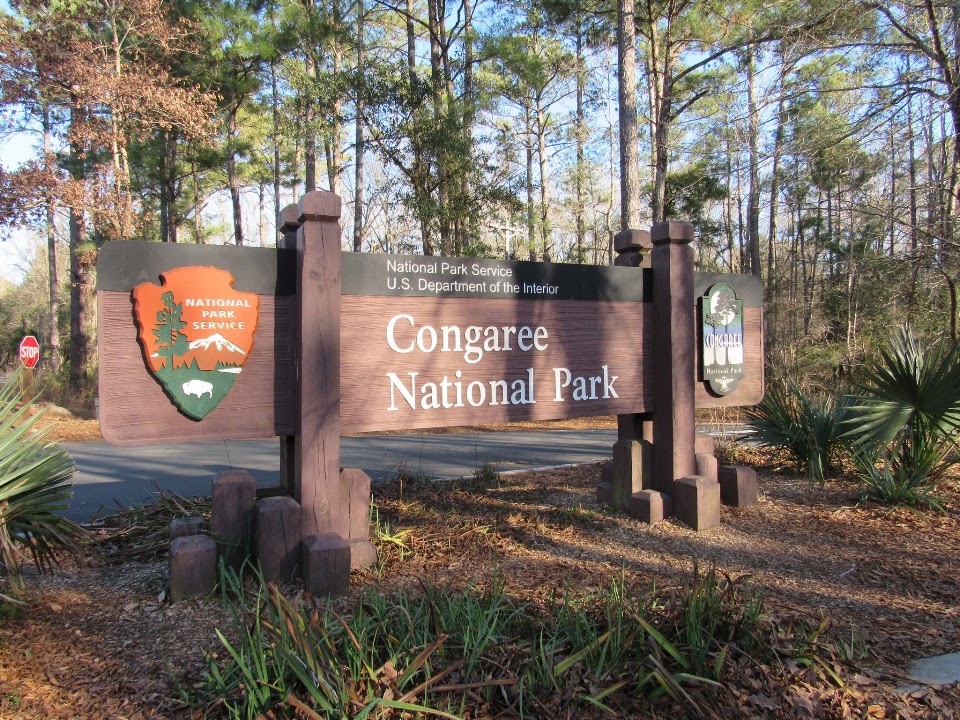 Original R&M photograph from the Congaree National Park album