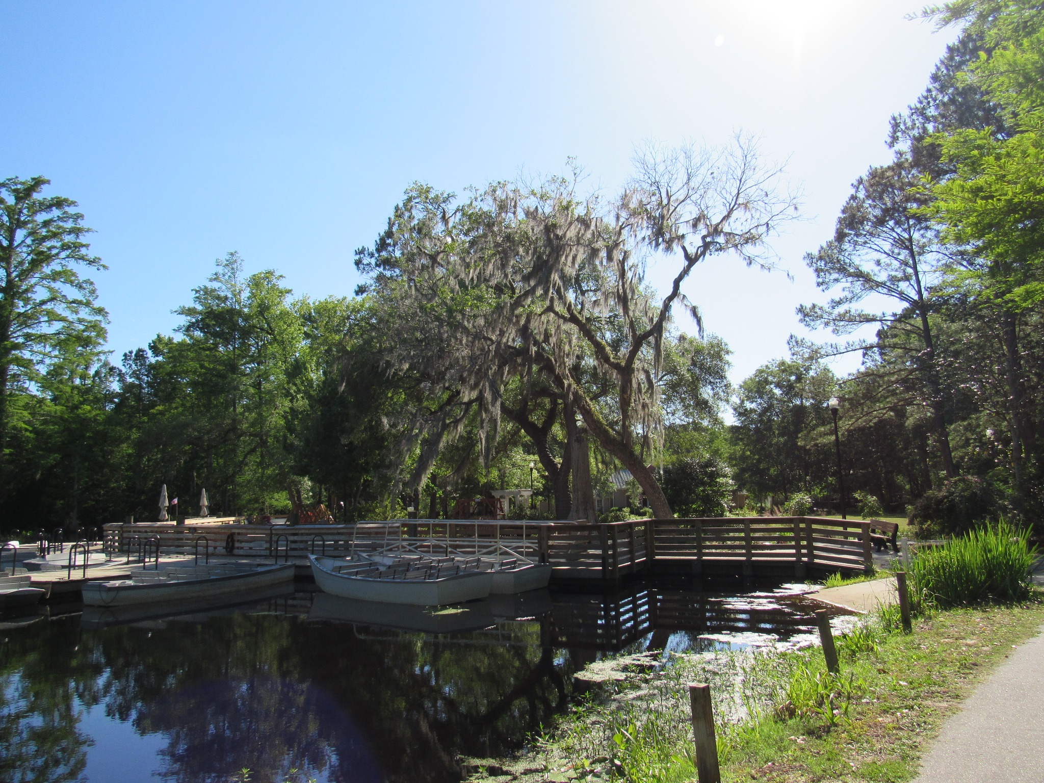 Original R&M photograph from the Cypress Gardens album