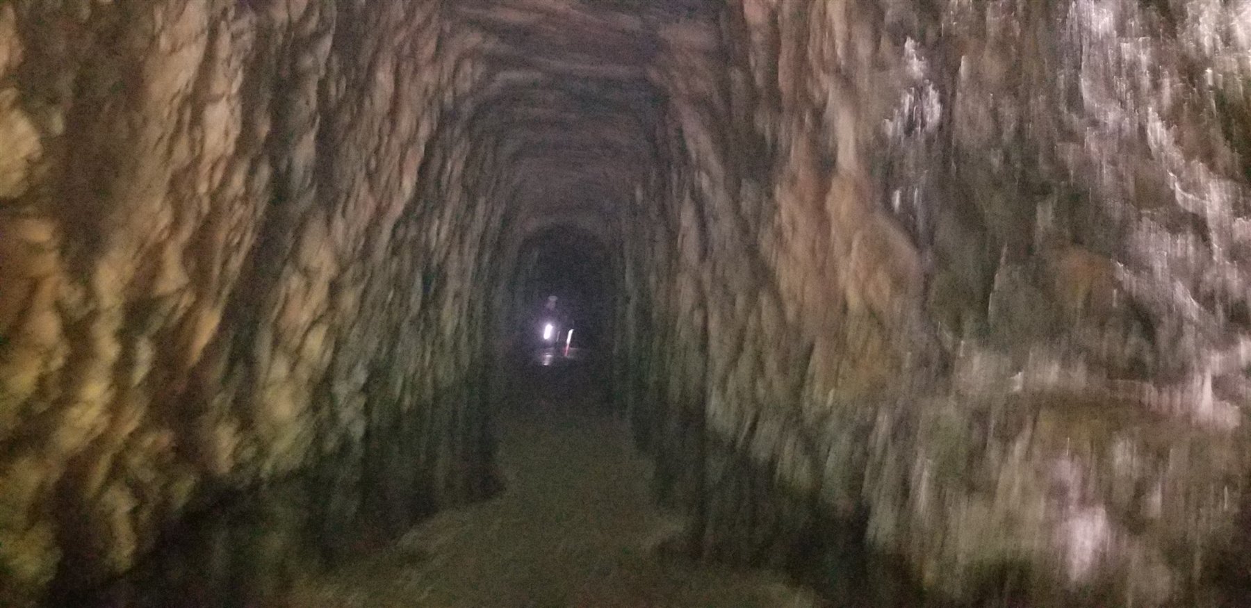 Stone interior of historic Stumphouse Tunnel