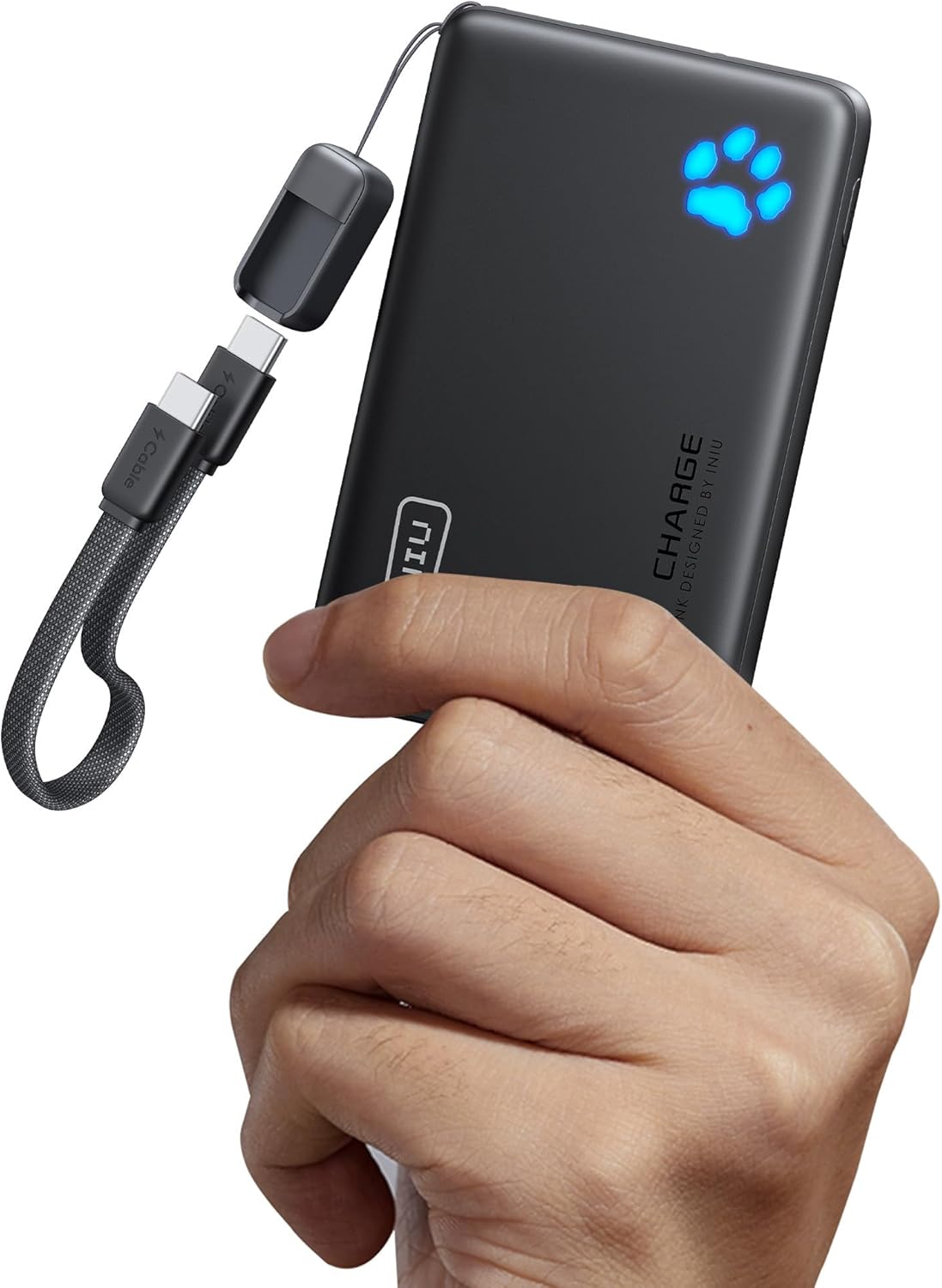 Portable power bank for charging phones on excursions